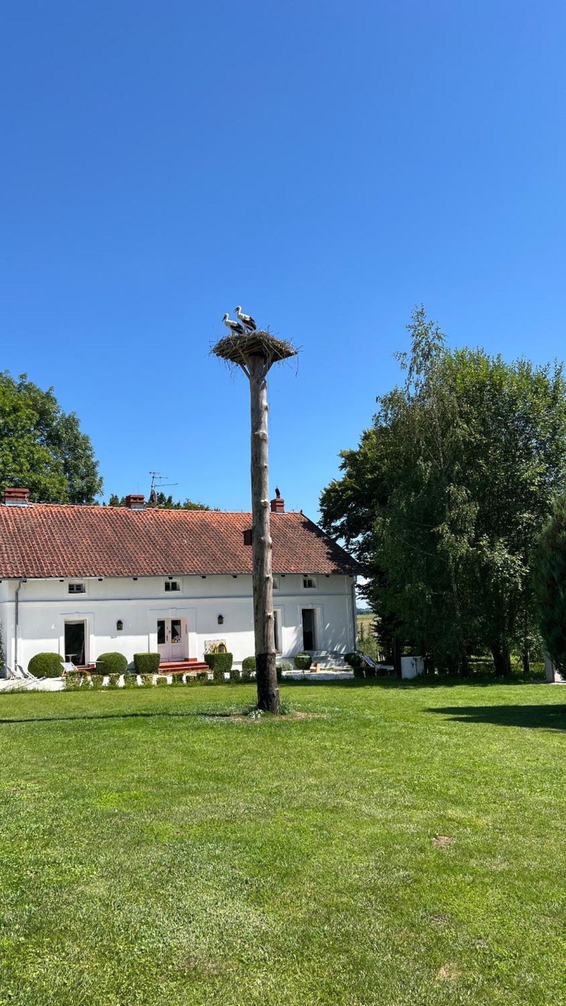 Appartamento Siedlisko Blanki Suryty Esterno foto