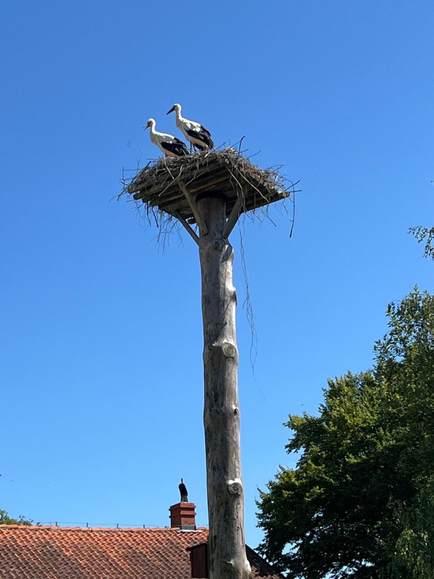 Appartamento Siedlisko Blanki Suryty Esterno foto